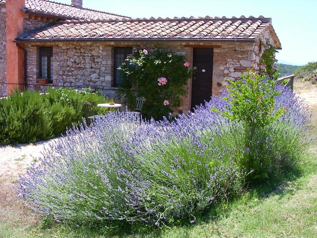 Podere Costa Romana Narni Exterior foto